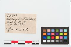 Etiketten zu Bronzefibelnadel (NHMW-PRAE-025013)